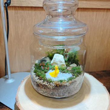 Terrariums 渋谷ヒカリエ店に投稿された画像（2026/3/25）