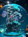 AQUARIUM × ART　atoaに投稿された画像（2026/3/25）