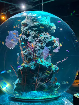 AQUARIUM × ART　atoaに投稿された画像（2026/3/25）