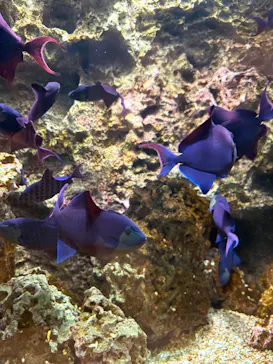 AQUARIUM × ART　atoaに投稿された画像（2026/3/25）