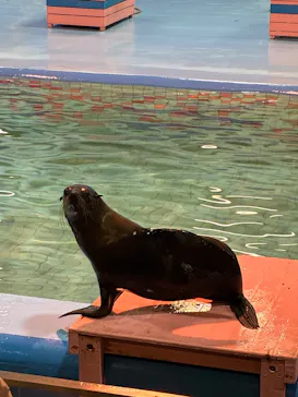ゼロ距離水族館 伊勢シーパラダイスに投稿された画像（2026/3/25）