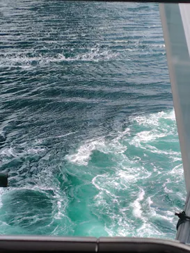 徳島県立 渦の道に投稿された画像（2026/3/25）