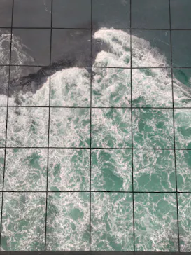 徳島県立 渦の道に投稿された画像（2026/3/25）