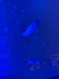 サンシャイン水族館に投稿された画像（2026/3/25）