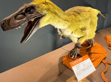 T-REX展～ティラノサウルスの進化～（新潟県立自然科学館）に投稿された画像（2026/3/25）
