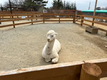 那須どうぶつ王国に投稿された画像（2026/3/25）