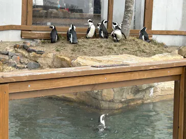 那須どうぶつ王国に投稿された画像（2026/3/25）