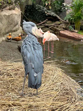 那須どうぶつ王国に投稿された画像（2026/3/25）