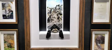 AQUARIUM × ART　atoaに投稿された画像（2026/3/25）