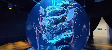 AQUARIUM × ART　atoaに投稿された画像（2026/3/25）