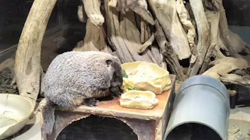 AQUARIUM × ART　atoaに投稿された画像（2026/3/25）