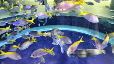 AQUARIUM × ART　atoaに投稿された画像（2026/3/25）