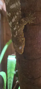 体感型動物園iZooに投稿された画像（2026/3/25）