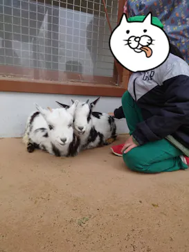 あらかわ遊園に投稿された画像（2026/3/25）