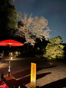 六義園に投稿された画像（2026/3/25）