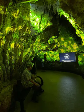 CAVE OKINAWAに投稿された画像（2026/3/25）