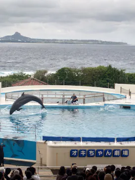 沖縄美ら海水族館に投稿された画像（2026/3/25）