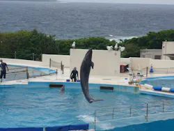 沖縄美ら海水族館に投稿された画像（2026/3/25）