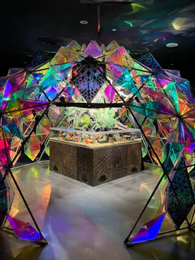 NARA KINGYO MUSEUMに投稿された画像（2026/3/25）