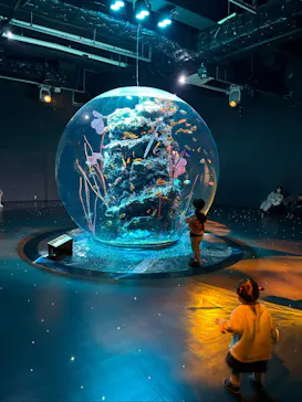 AQUARIUM × ART　atoaに投稿された画像（2026/3/25）