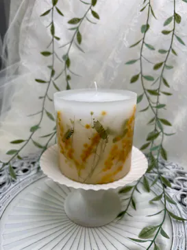 ずこうしつ〜sugamo〜に投稿された画像（2026/3/25）