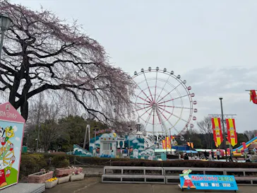 渋川スカイランドパークに投稿された画像（2026/3/25）
