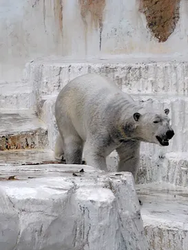 天王寺動物園に投稿された画像（2026/3/25）