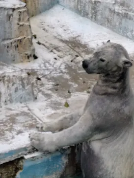 天王寺動物園に投稿された画像（2026/3/25）