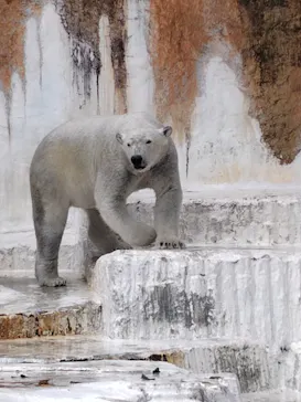 天王寺動物園に投稿された画像（2026/3/25）
