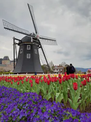 ハウステンボスに投稿された画像（2026/3/25）