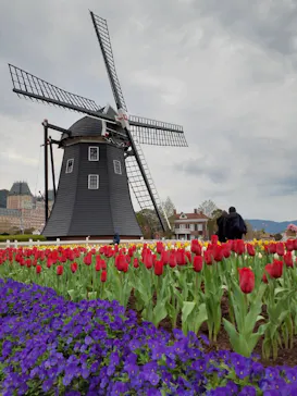 ハウステンボスに投稿された画像（2026/3/25）