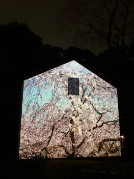 六義園に投稿された画像（2026/3/26）