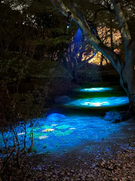 六義園に投稿された画像（2026/3/26）