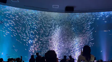 名古屋港水族館に投稿された画像（2026/3/26）