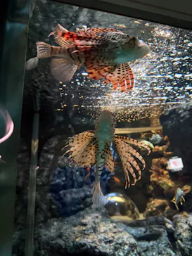 名古屋港水族館に投稿された画像（2026/3/26）