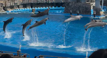 名古屋港水族館に投稿された画像（2026/3/26）