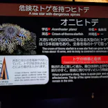 沖縄美ら海水族館に投稿された画像（2026/3/26）