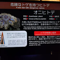 沖縄美ら海水族館に投稿された画像（2026/3/26）