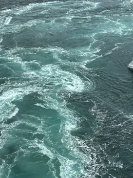 徳島県立 渦の道に投稿された画像（2026/3/26）