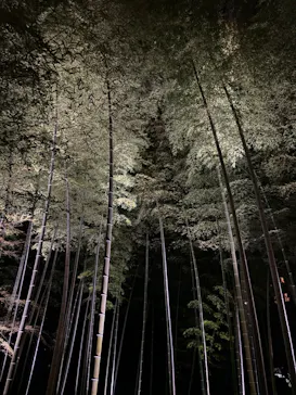 六義園に投稿された画像（2026/3/26）