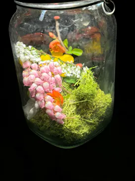 六義園に投稿された画像（2026/3/26）