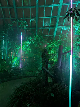 京都府立植物園　LIGHT CYCLES KYOTOに投稿された画像（2026/3/26）