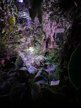 京都府立植物園　LIGHT CYCLES KYOTOに投稿された画像（2026/3/26）