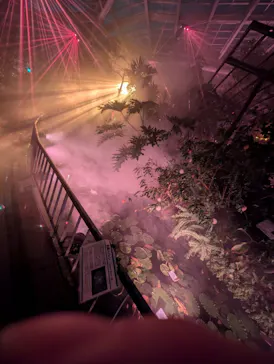 京都府立植物園　LIGHT CYCLES KYOTOに投稿された画像（2026/3/26）