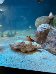 サンシャイン水族館に投稿された画像（2026/3/26）