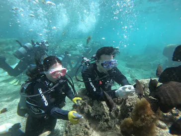 武藤潜水に投稿された画像（2026/3/26）