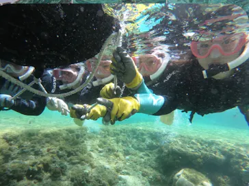 武藤潜水に投稿された画像（2026/3/26）