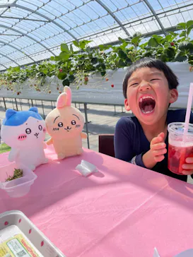 strawberry farm まあと工房に投稿された画像（2026/3/26）