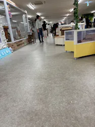 アニタッチ 東京ドームシティに投稿された画像（2026/3/26）