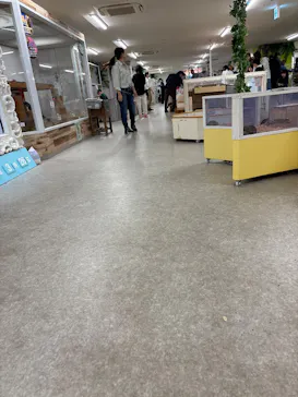 アニタッチ 東京ドームシティに投稿された画像（2026/3/26）